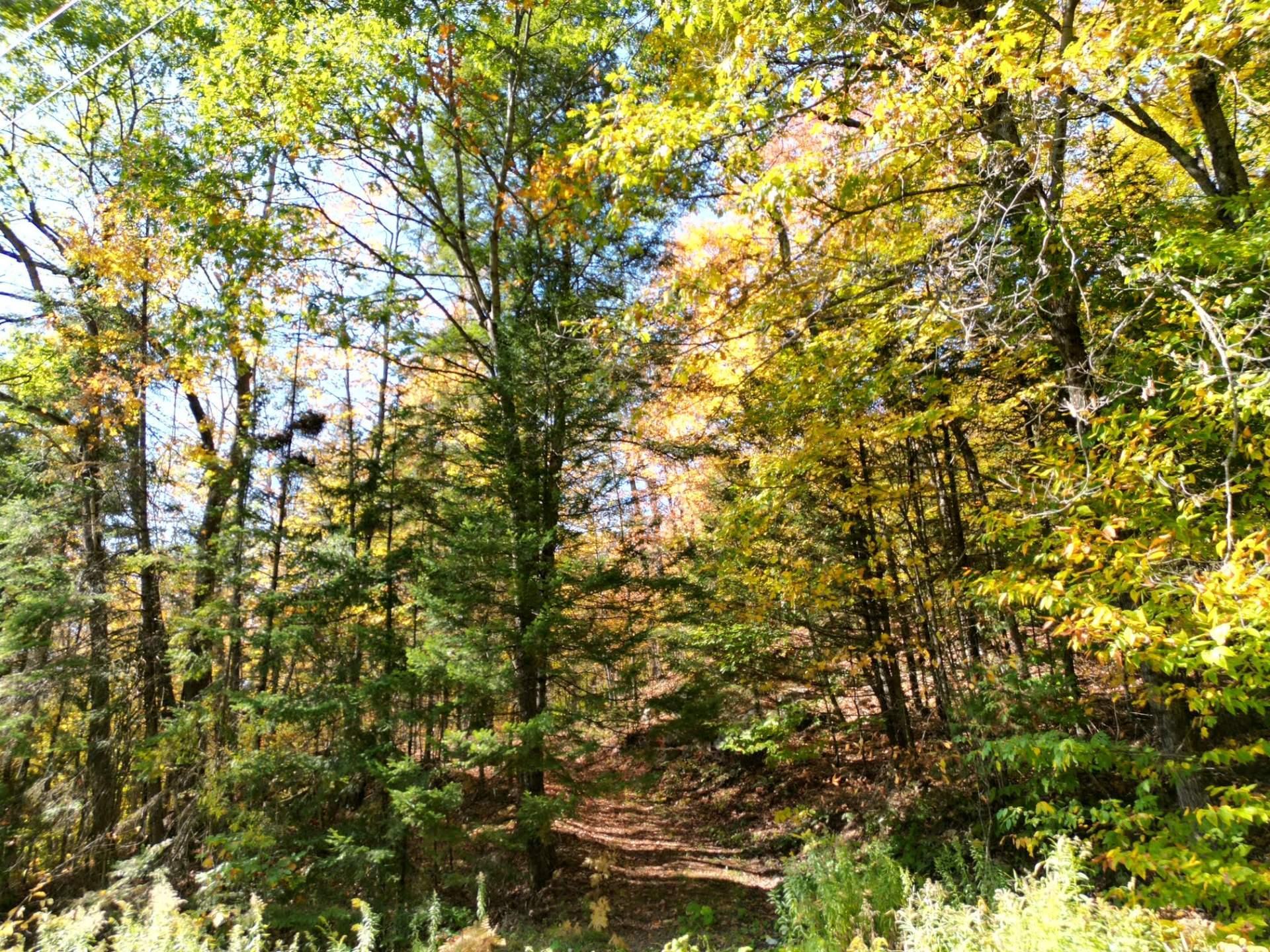 









56


Ch. du Mica

,
Val-des-Monts,







QC
J8N6B2

