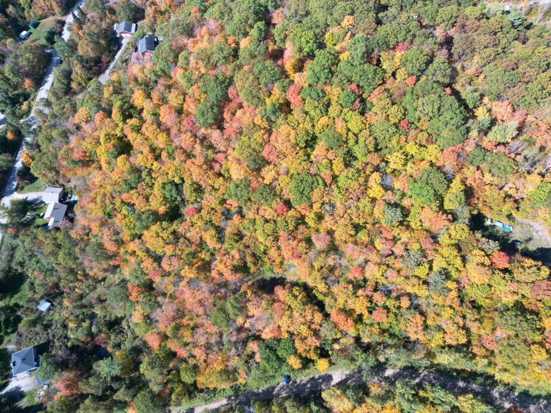 









56


Ch. du Mica

,
Val-des-Monts,







QC
J8N6B2

