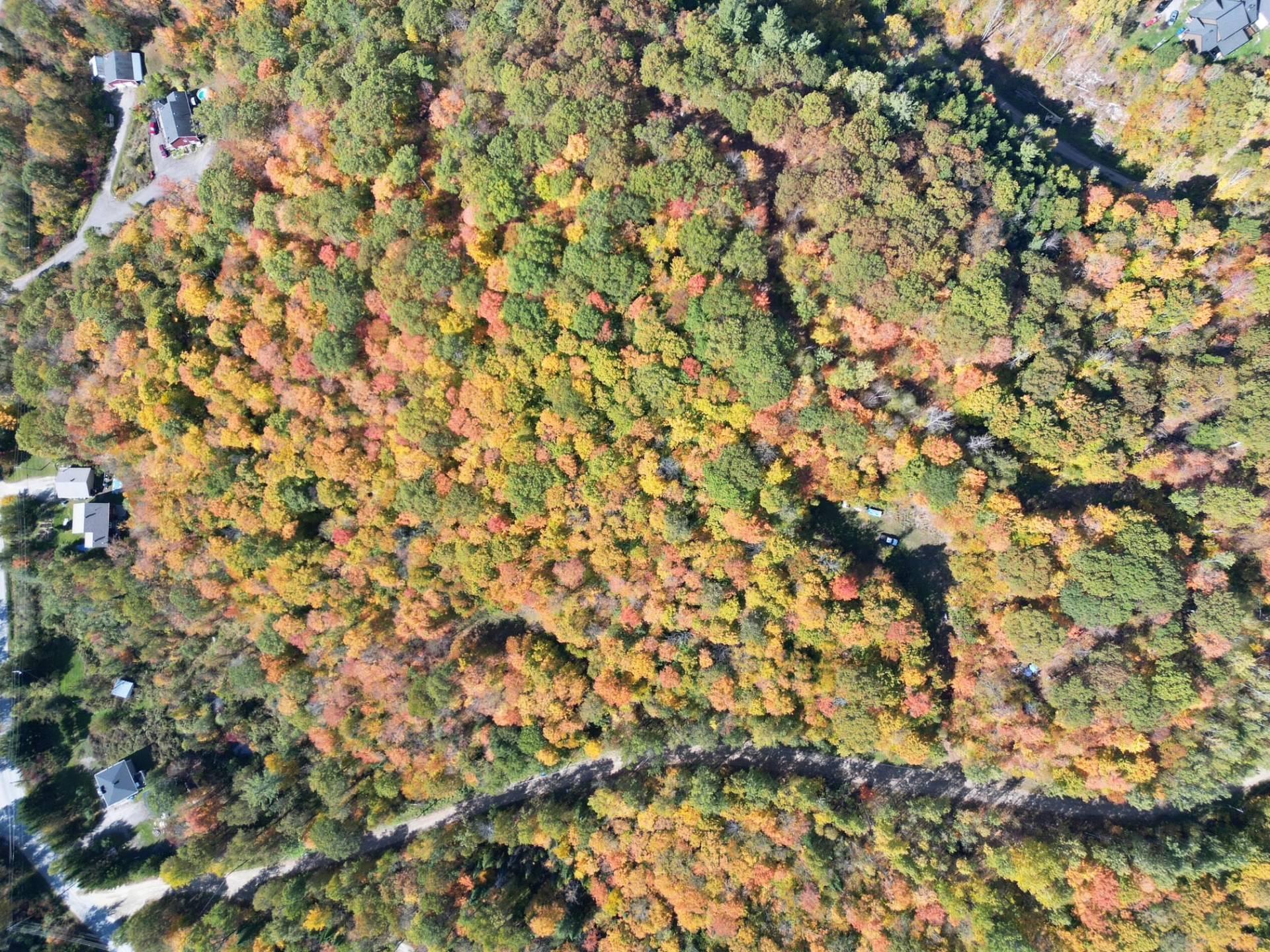 









56


Ch. du Mica

,
Val-des-Monts,







QC
J8N6B2

