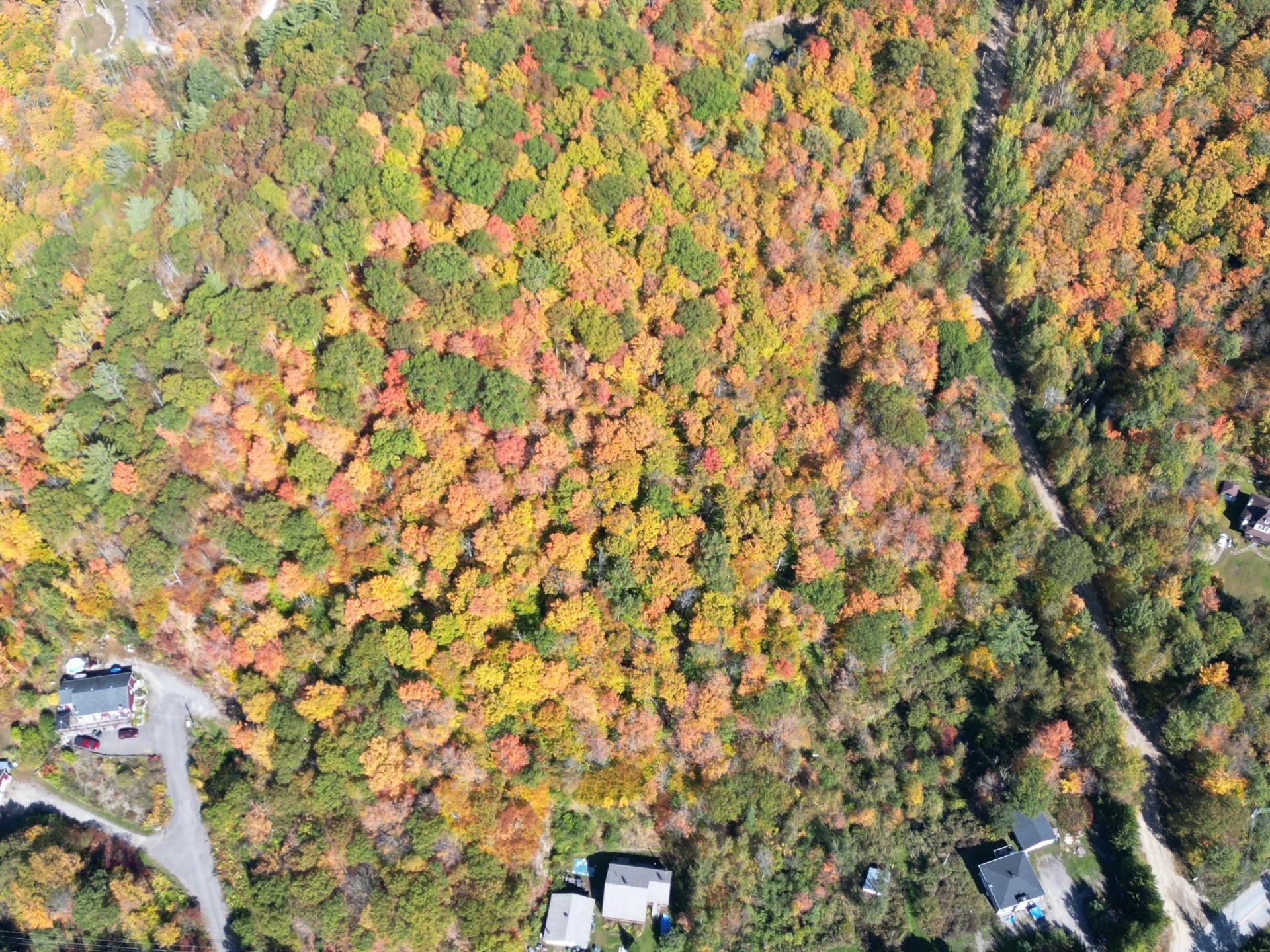 









56


Ch. du Mica

,
Val-des-Monts,







QC
J8N6B2

