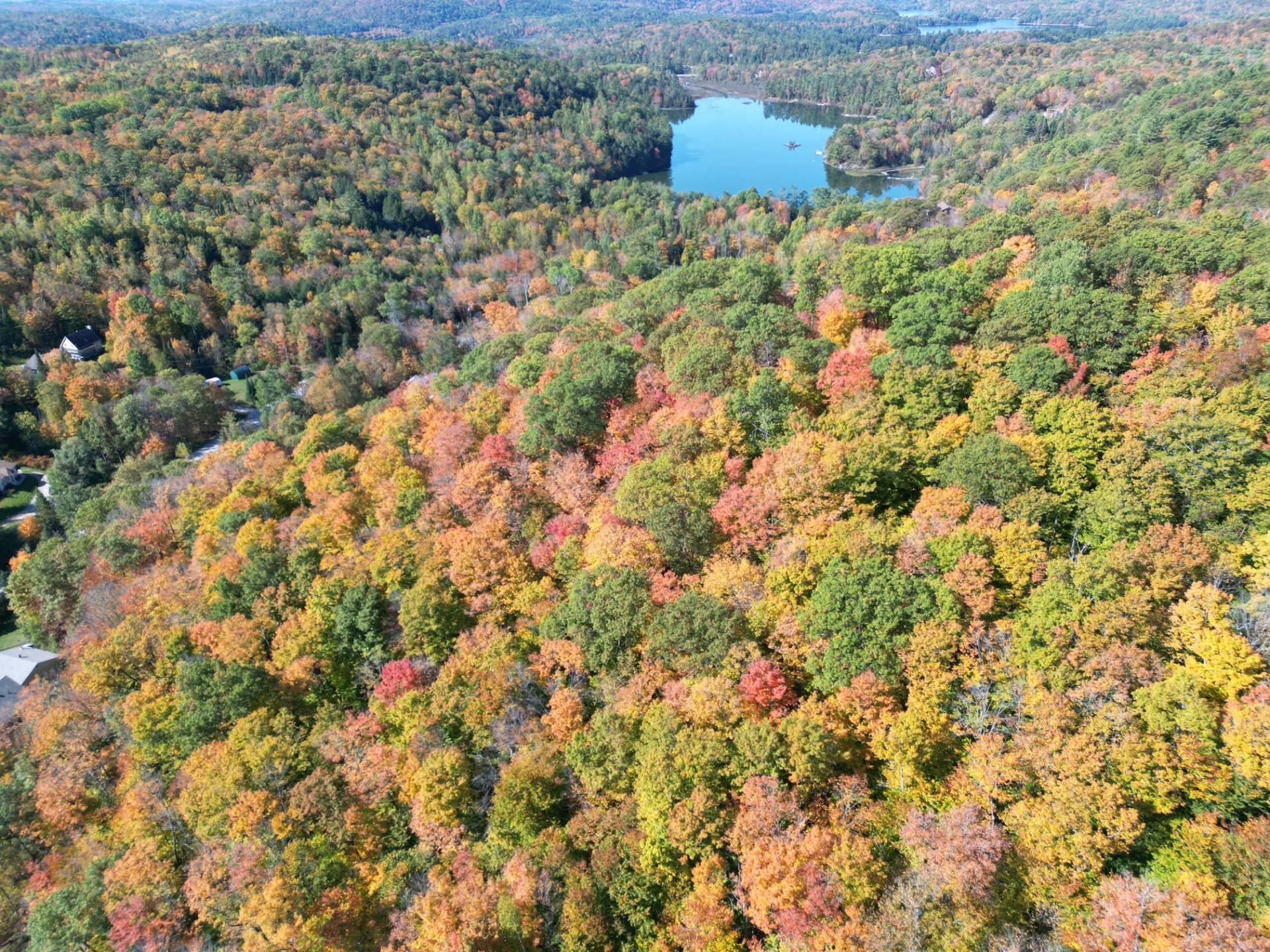









25


Ch. du Mica

,
Val-des-Monts,







QC
J8N6B2

