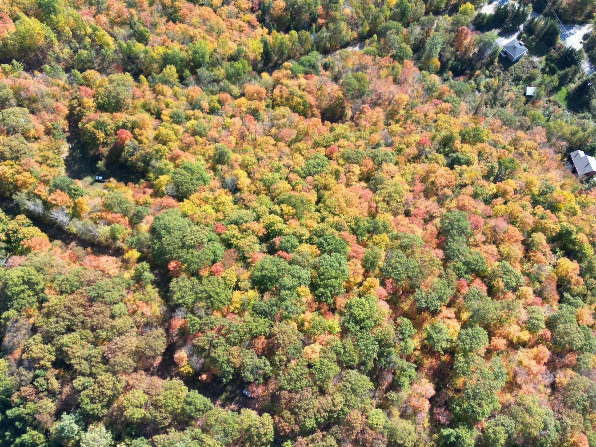 









25


Ch. du Mica

,
Val-des-Monts,







QC
J8N6B2

