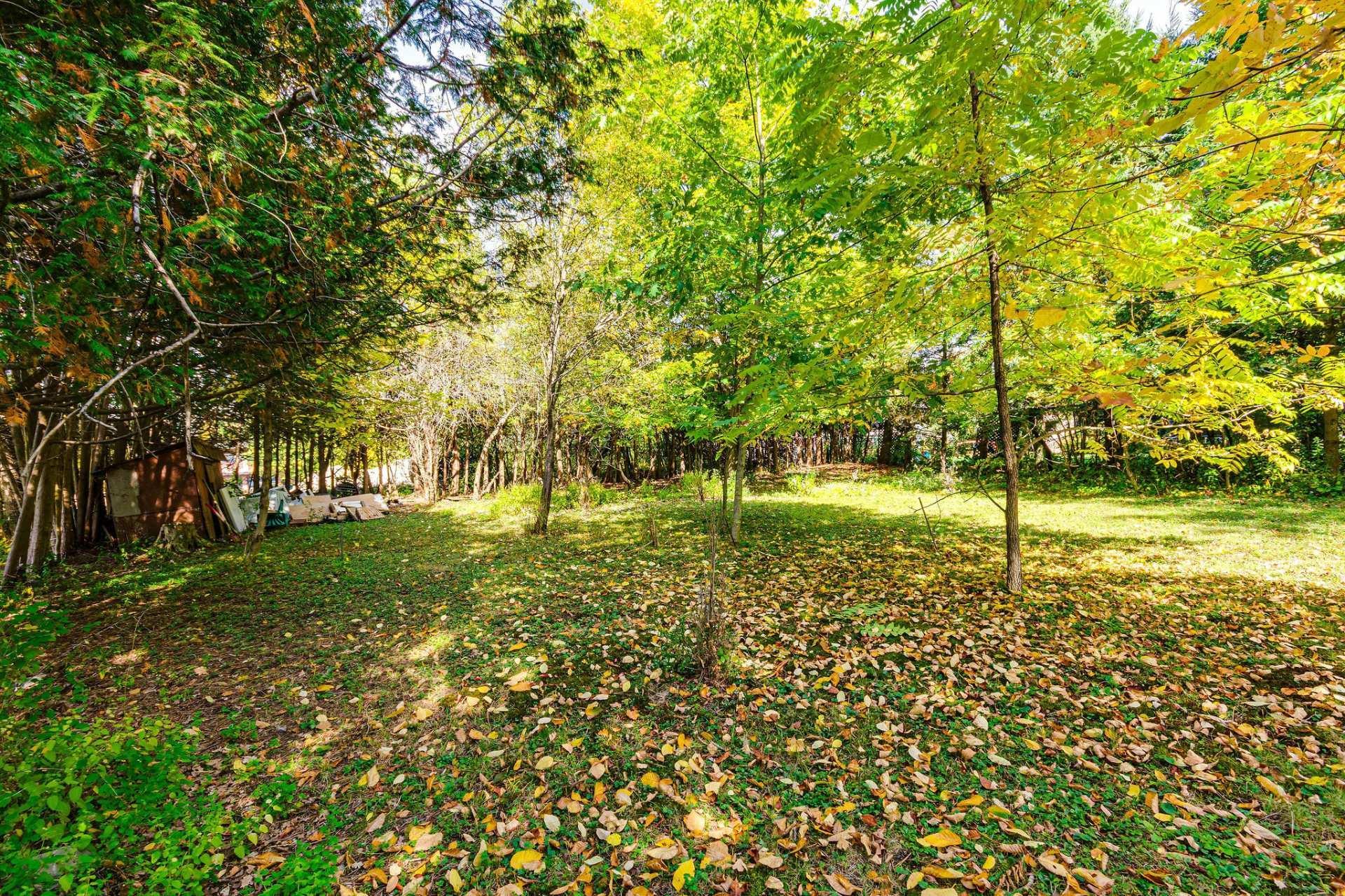 









10


Rue du Verdier

,
Cantley,




QC
J8V3B5

