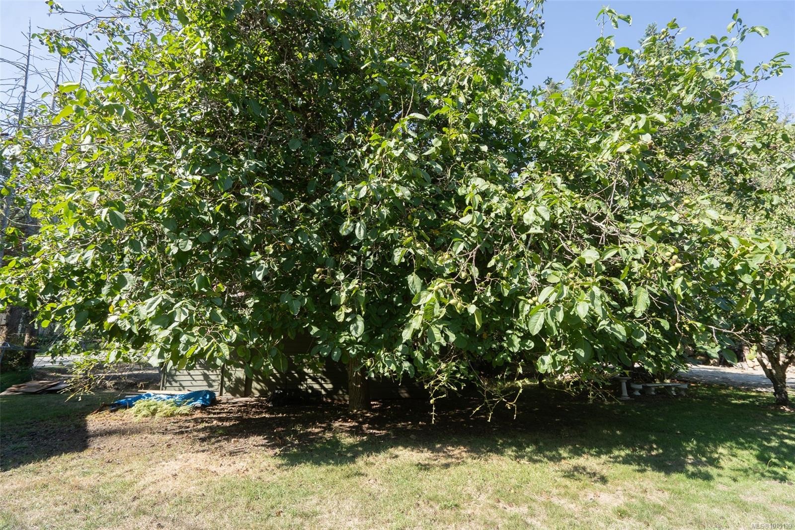 









110


Ross

Rd,
Salt Spring,




BC
V8K 1N8

