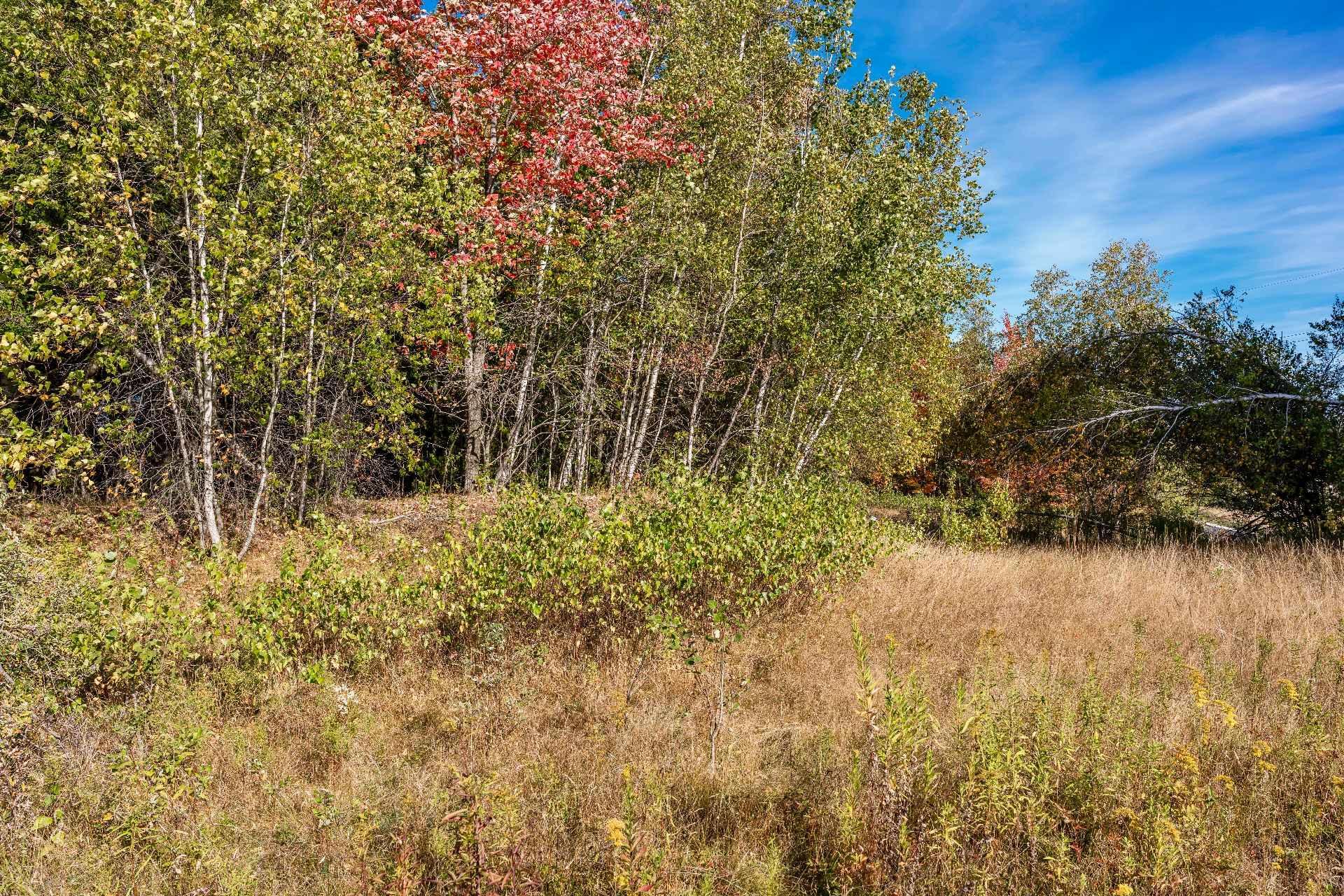 












Rue Étienne-Desmarteau

,
Sherbrooke (Brompton/Rock Forest/Saint-Élie/Deauville),







QC
J1C0X5

