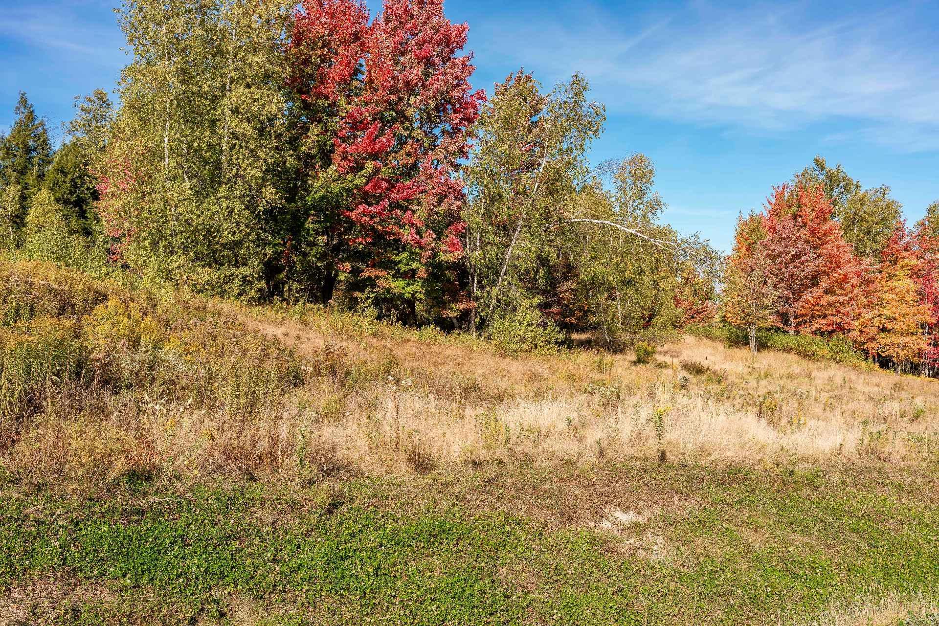 












Rue Étienne-Desmarteau

,
Sherbrooke (Brompton/Rock Forest/Saint-Élie/Deauville),







QC
J1C0X5

