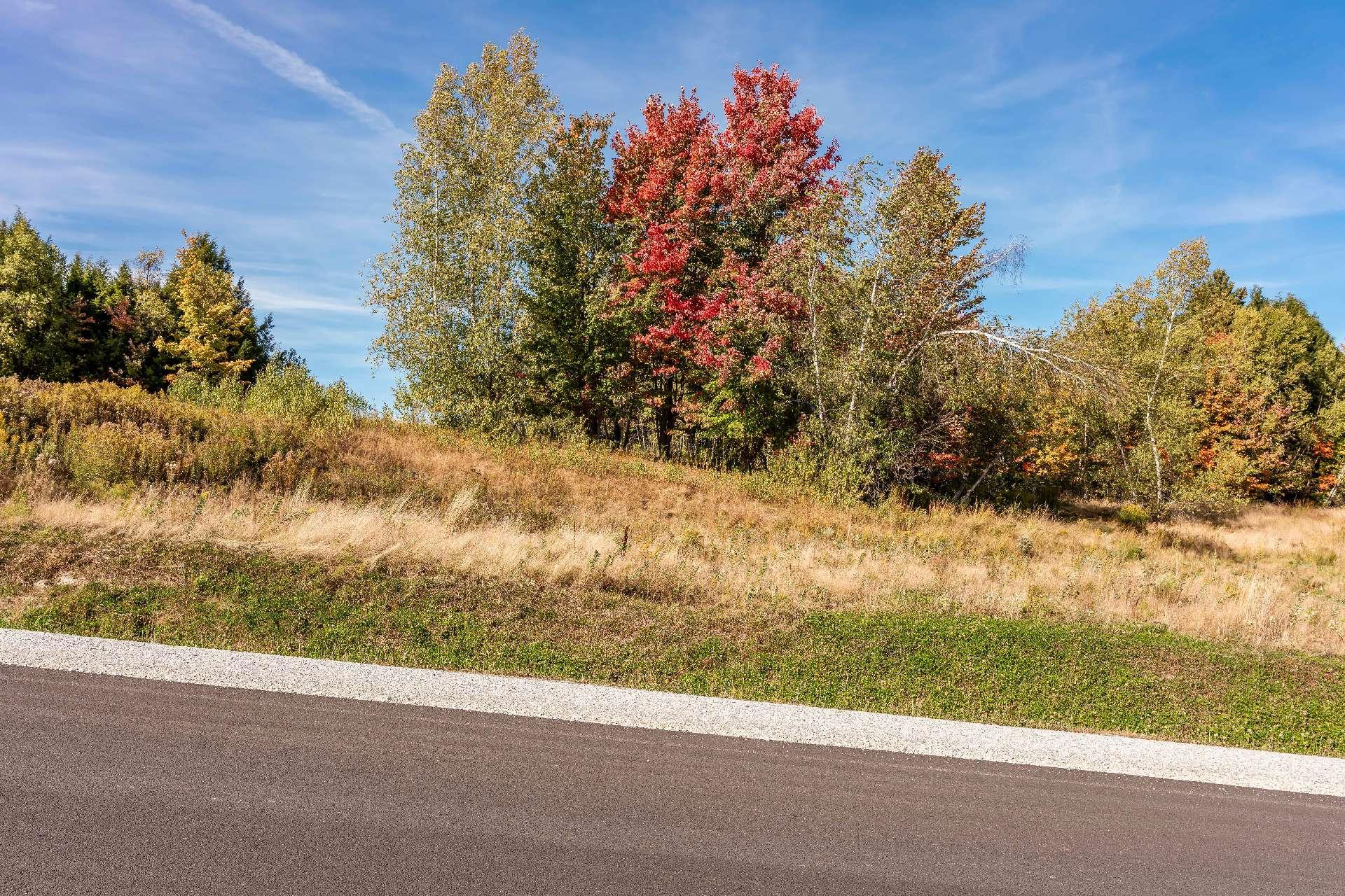 












Rue Étienne-Desmarteau

,
Sherbrooke (Brompton/Rock Forest/Saint-Élie/Deauville),







QC
J1C0X5

