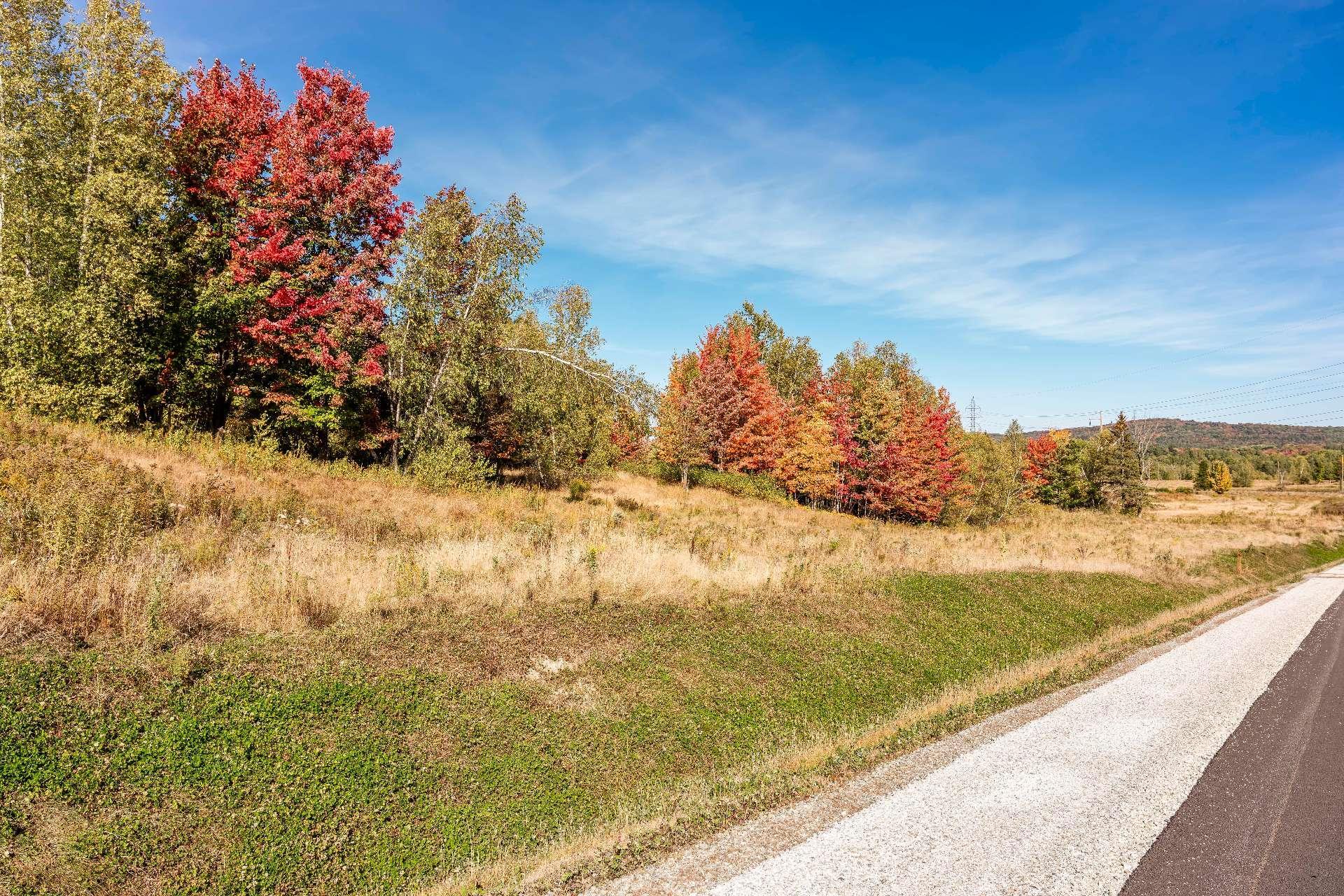 












Rue Étienne-Desmarteau

,
Sherbrooke (Brompton/Rock Forest/Saint-Élie/Deauville),







QC
J1C0X5

