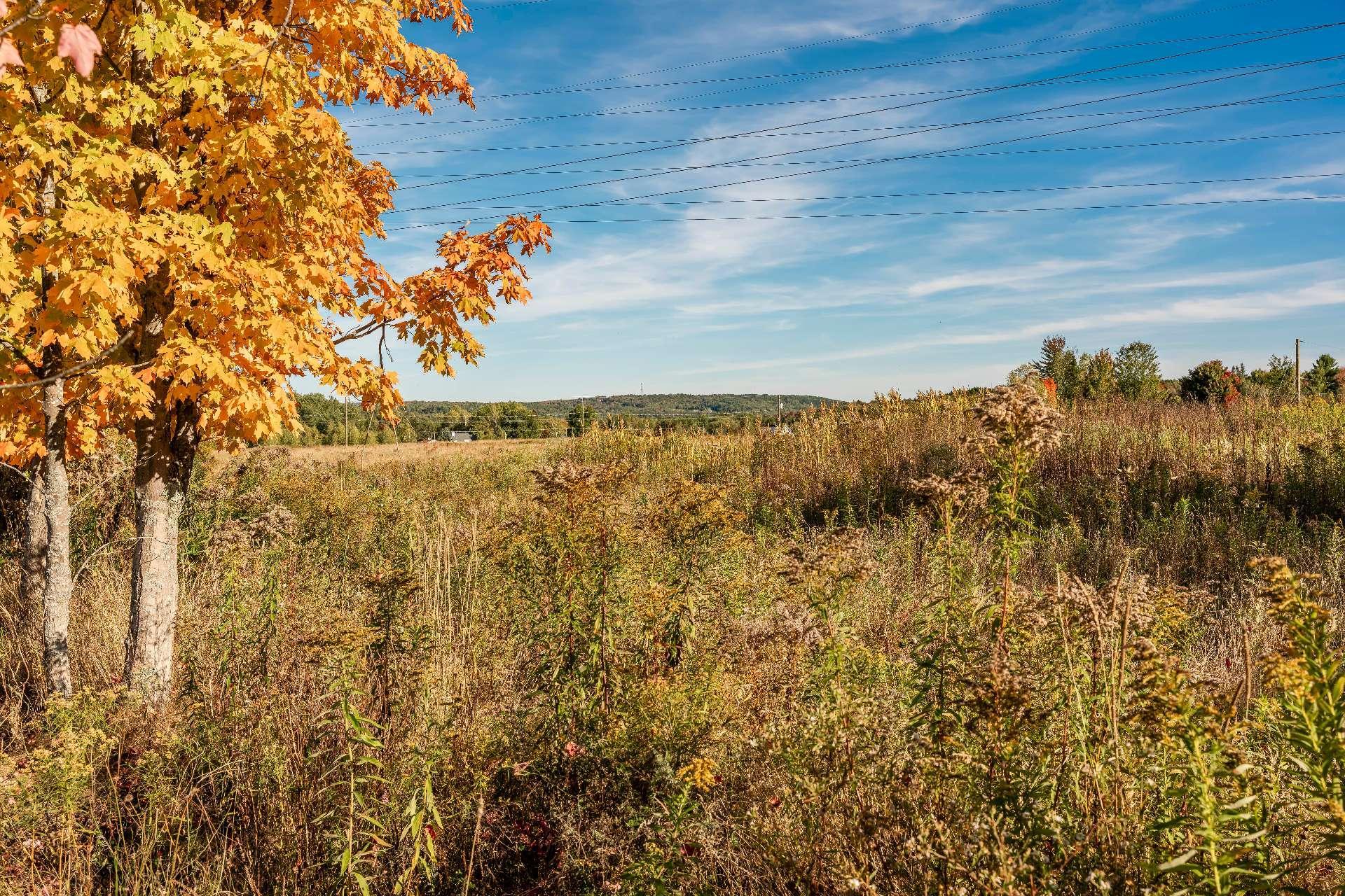 












Rue Étienne-Desmarteau

,
Sherbrooke (Brompton/Rock Forest/Saint-Élie/Deauville),







QC
J1C0X5

