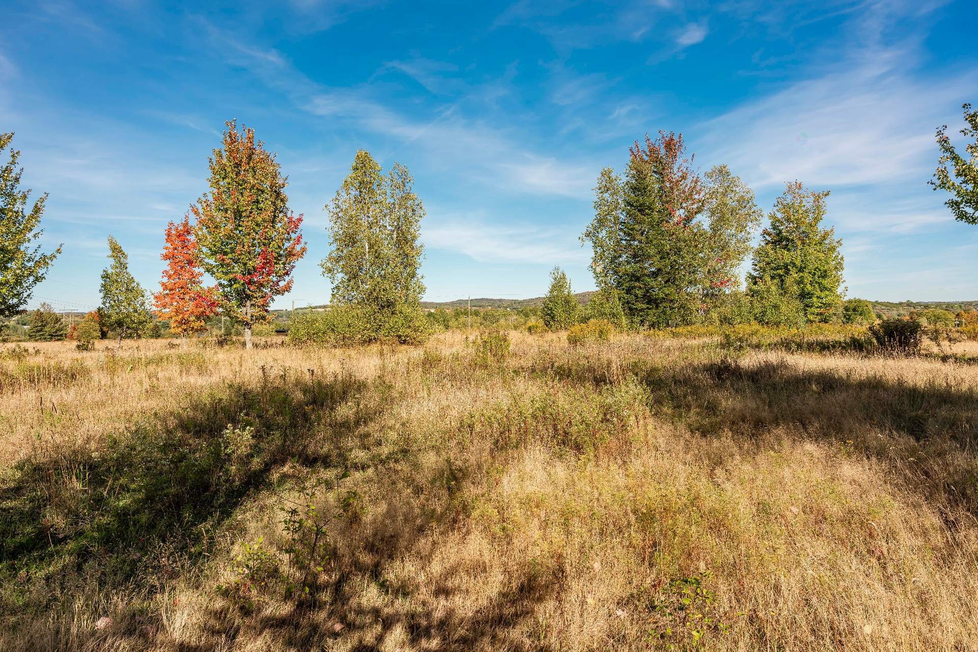 












Rue Jules-Huot

,
Sherbrooke (Brompton/Rock Forest/Saint-Élie/Deauville),







QC
J1C0X5

