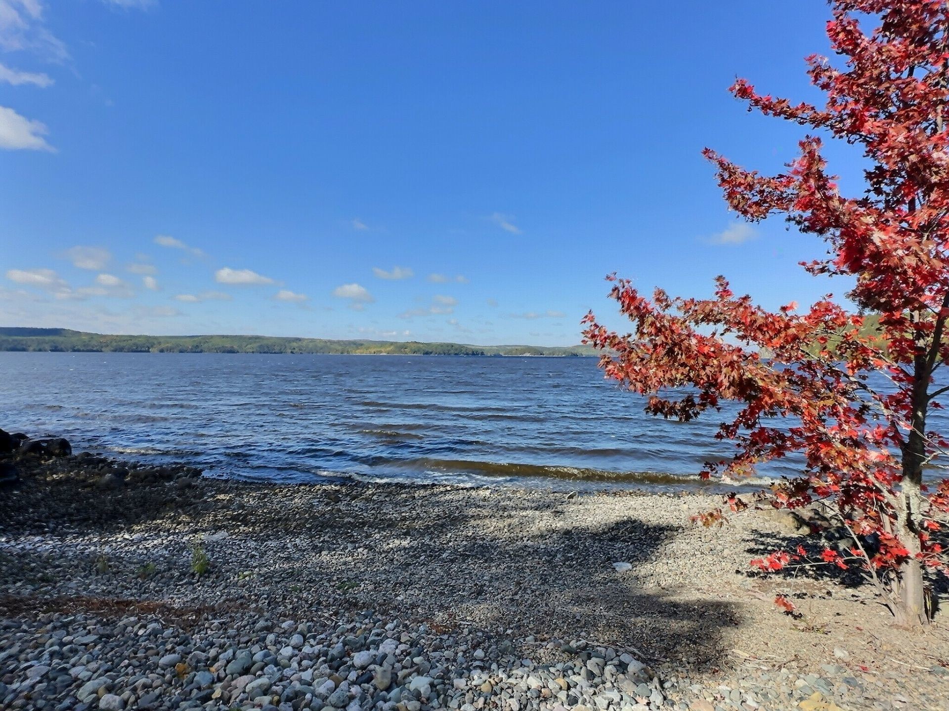 









1953


Ch. de la Galère

,
Saint-Édouard-de-Fabre,







QC
J0Z1Z0

