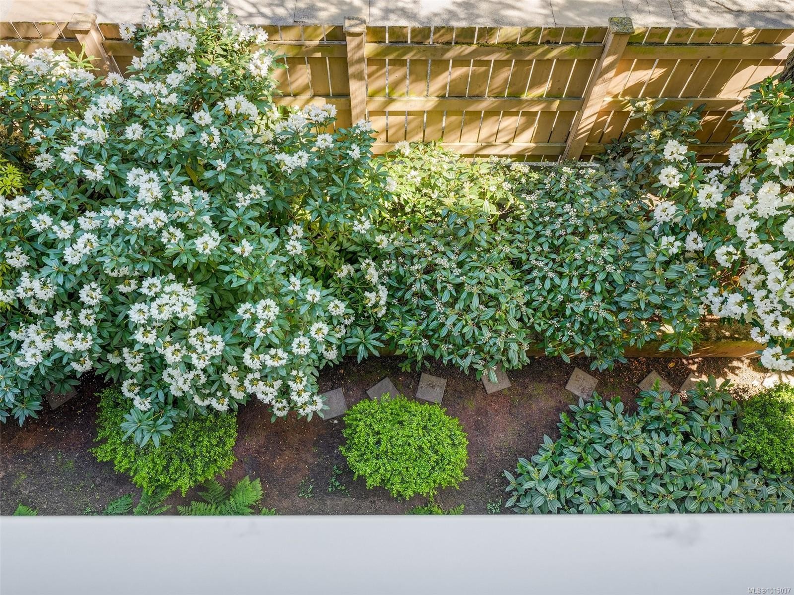 









649


Bay

St, 304,
Victoria,




BC
V8T 5H8

