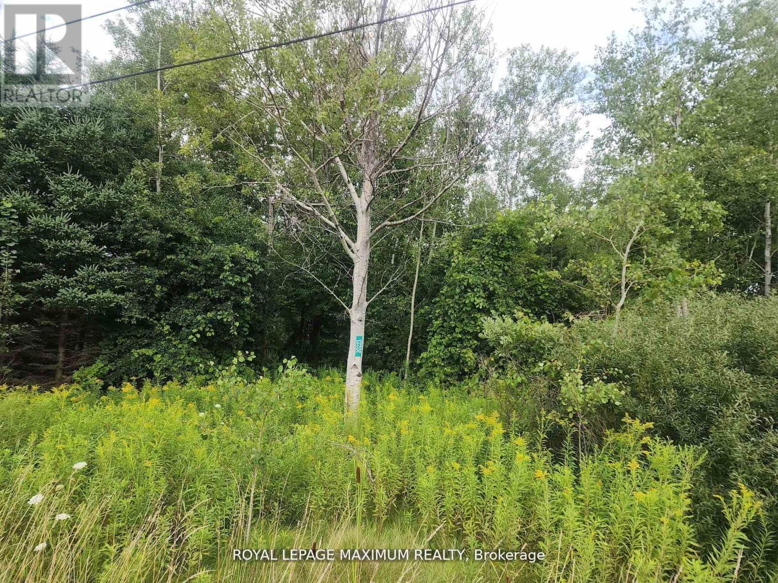 












20223 BATHURST STREET

,
East Gwillimbury,







Ontario
L9N1N3

