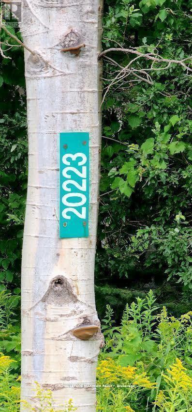 












20223 BATHURST STREET

,
East Gwillimbury,







Ontario
L9N1N3

