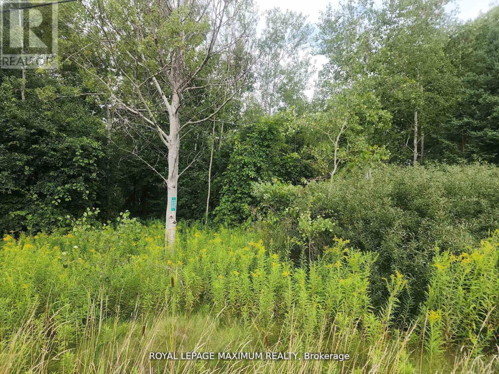 












20223 BATHURST STREET

,
East Gwillimbury,







Ontario
L9N1N3

