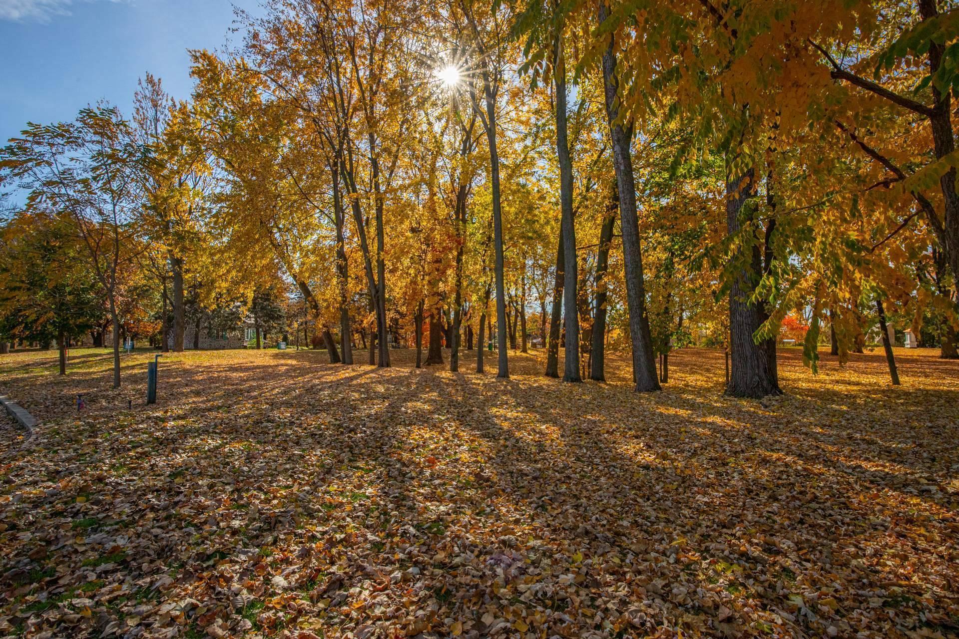 









7


Rue Jean-Cadieux

,
Boucherville,




QC
J4B2G8

