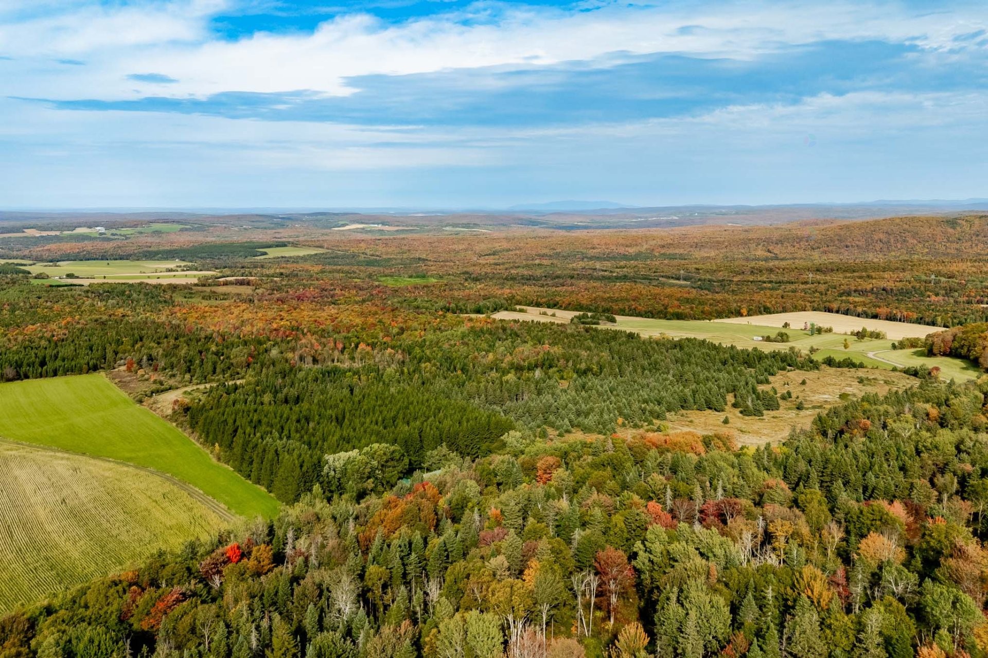 









1000Z


10e Rang

,
Saint-Herménégilde,







QC
J0B2W0

