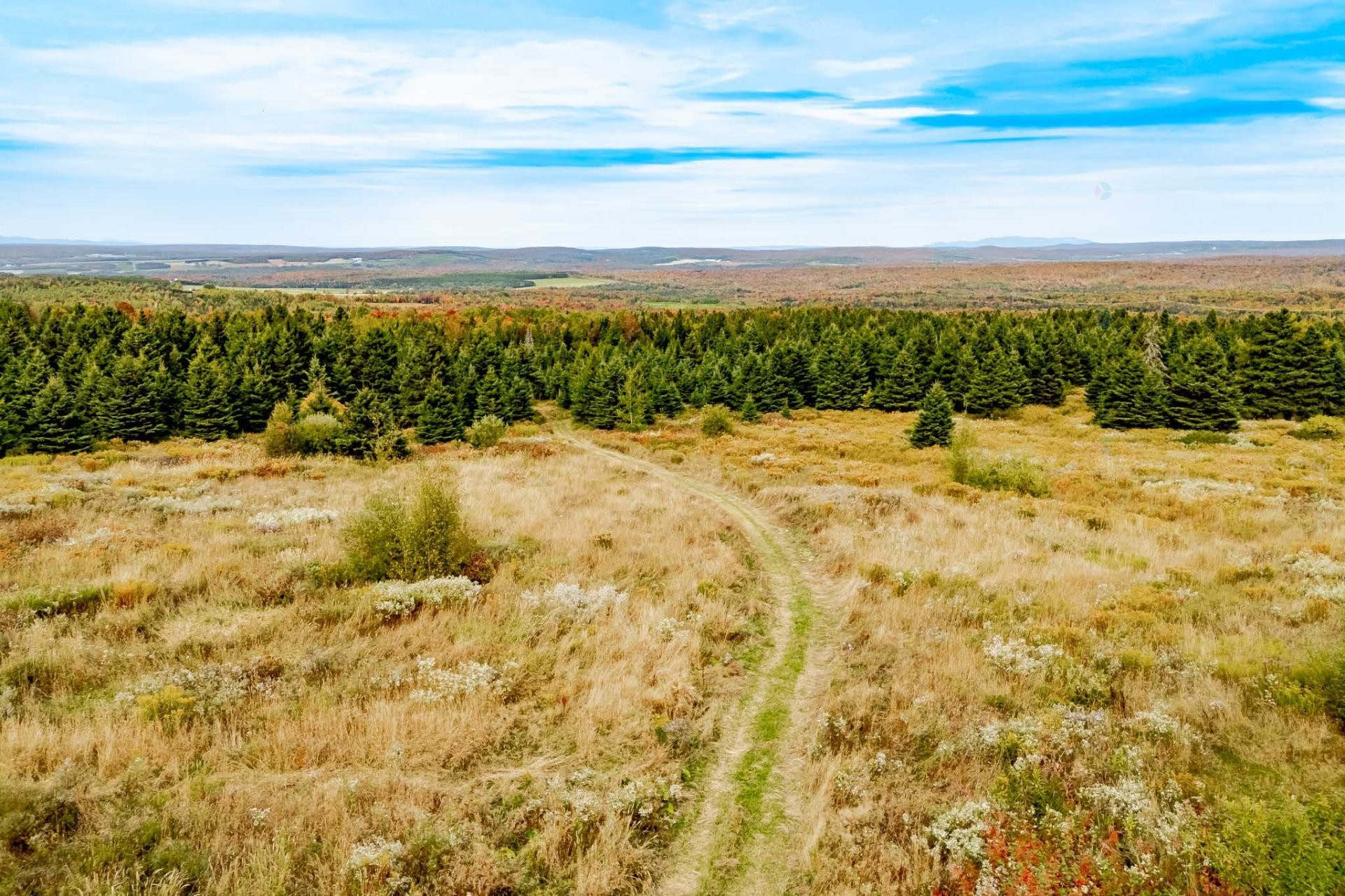 









1000Z


10e Rang

,
Saint-Herménégilde,







QC
J0B2W0

