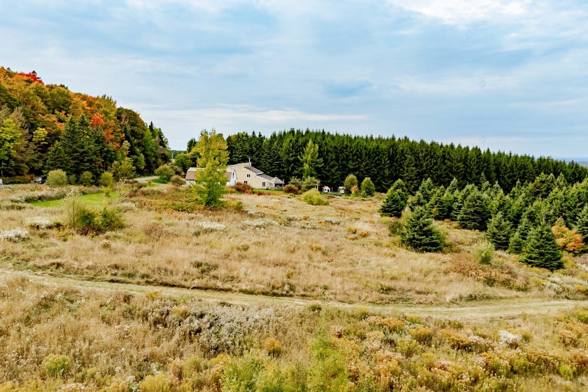 









1000Z


10e Rang

,
Saint-Herménégilde,







QC
J0B2W0


