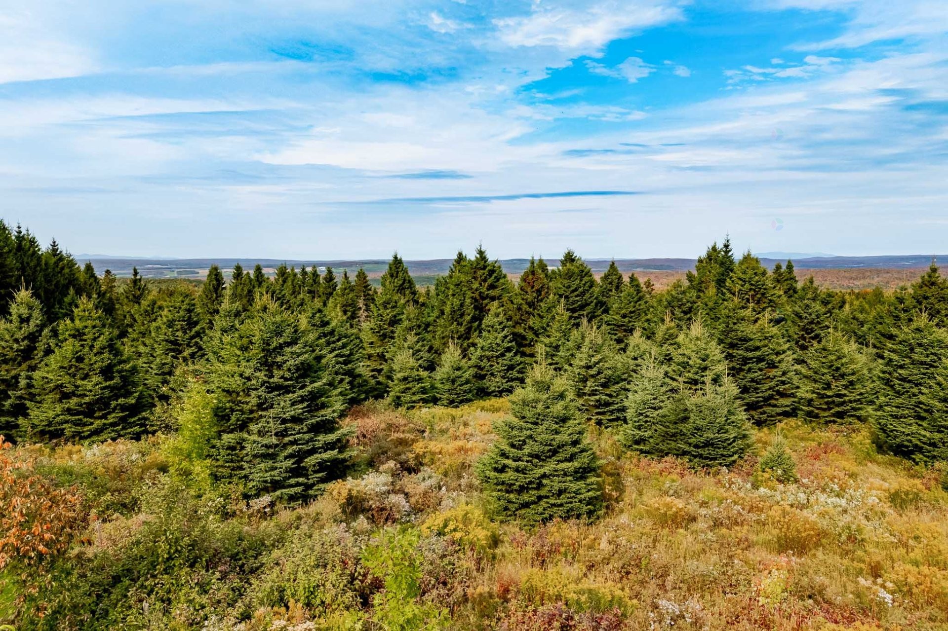 









1000Z


10e Rang

,
Saint-Herménégilde,







QC
J0B2W0

