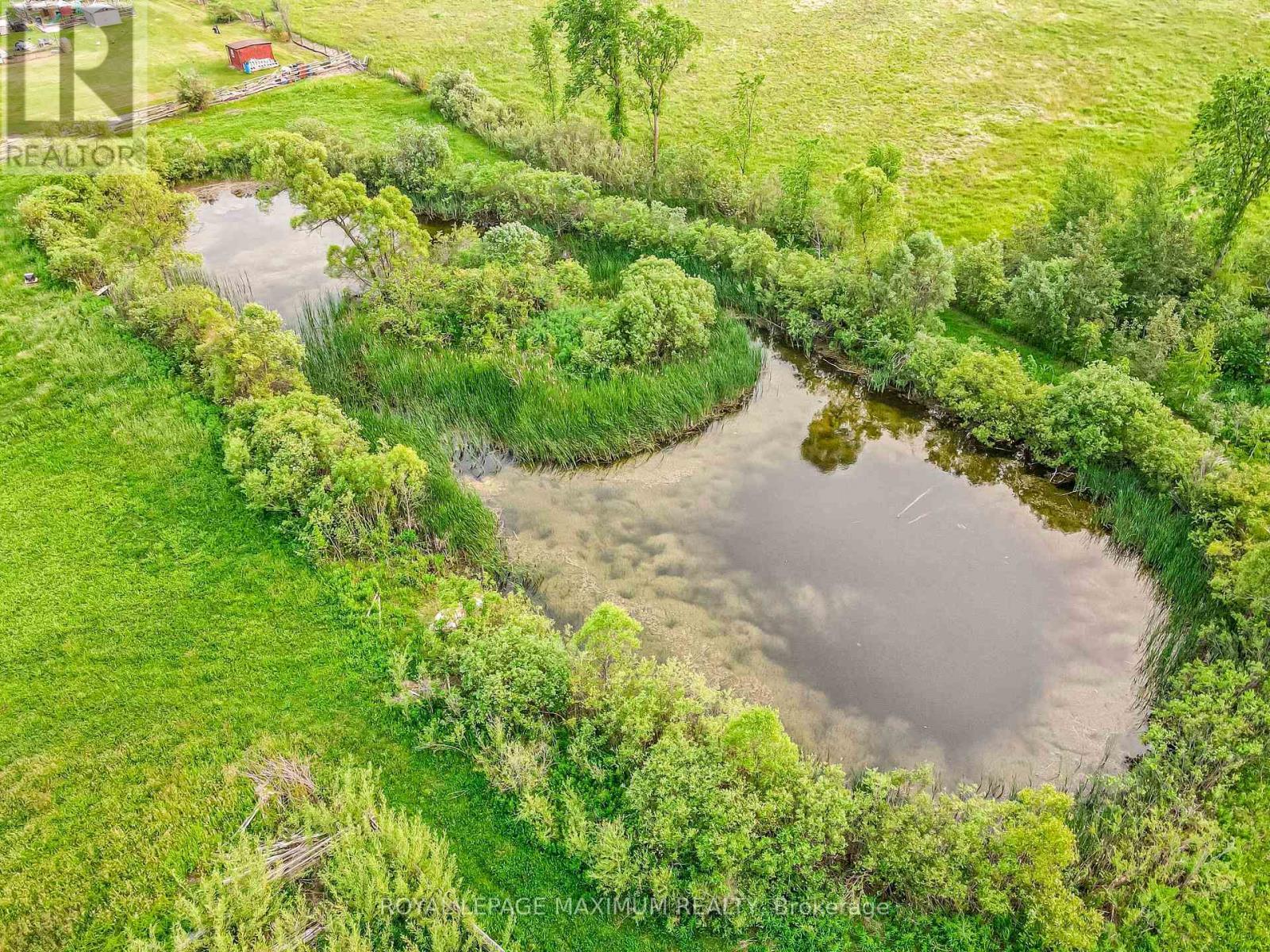 












4372 TRAIN STREET

,
New Tecumseth,




Ontario
L9R1V4

