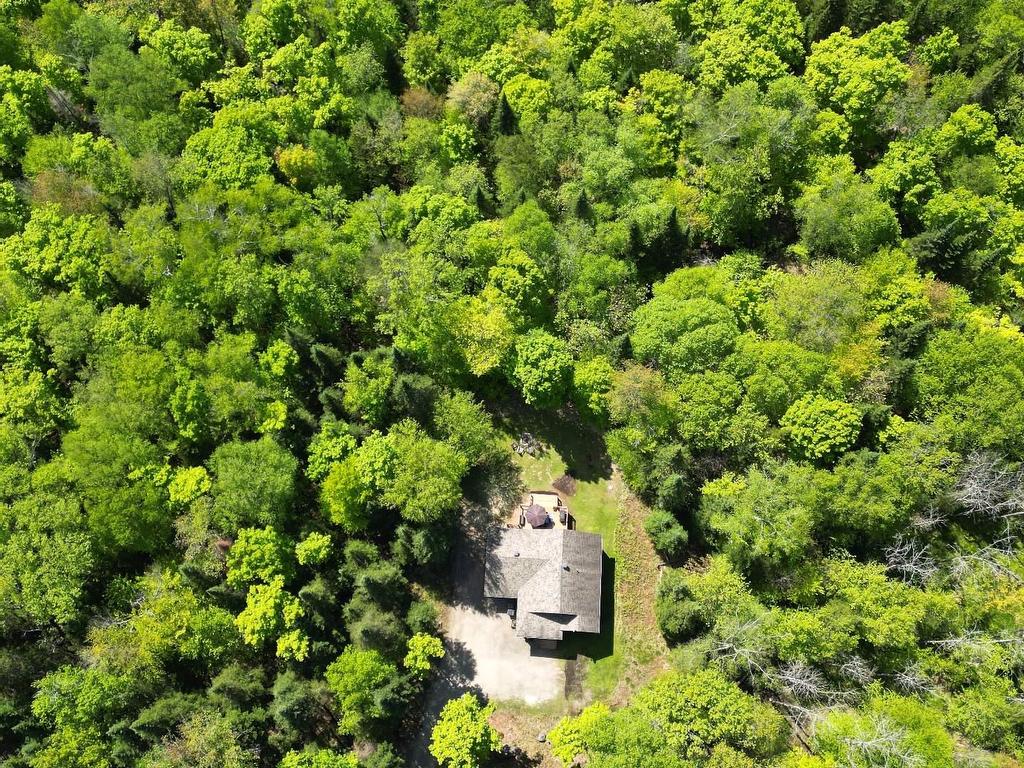 









115


Ch. des Futaies

,
Mont-Tremblant,




QC
J8E0E7

