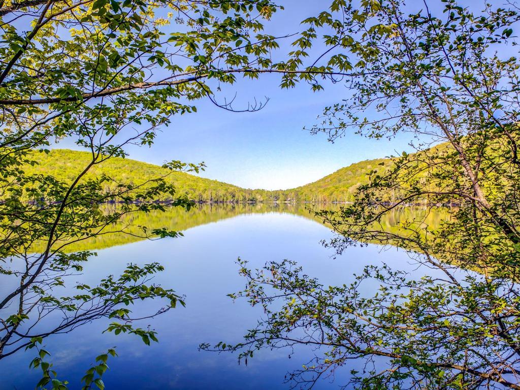 









115


Ch. des Futaies

,
Mont-Tremblant,




QC
J8E0E7

