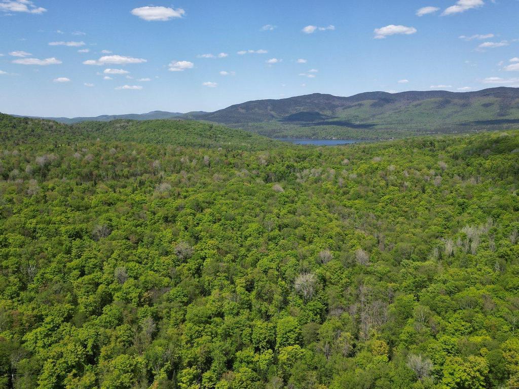 









115


Ch. des Futaies

,
Mont-Tremblant,




QC
J8E0E7

