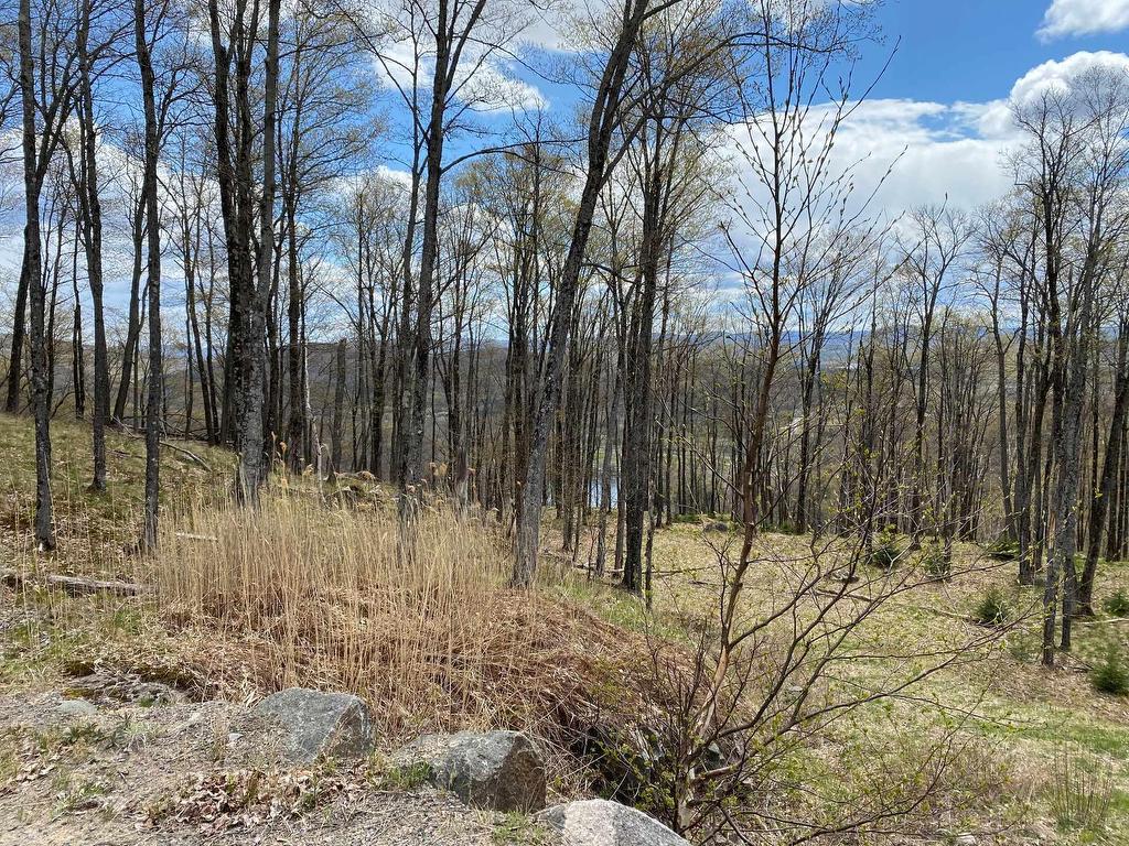 












Ch. des Entailles

,
Mont-Tremblant,







QC
J8E0C9

