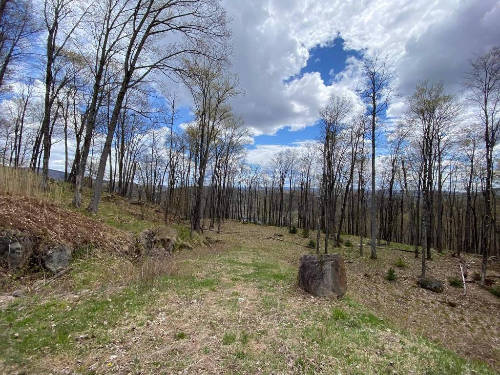 












Ch. des Entailles

,
Mont-Tremblant,







QC
J8E0C9

