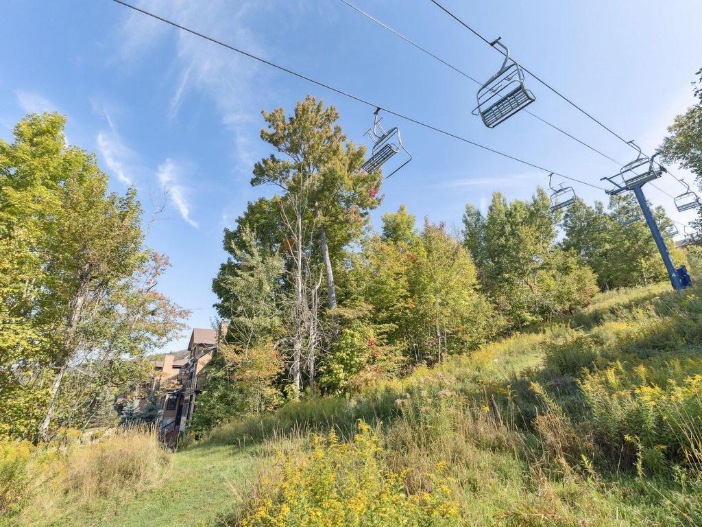 









168


Ch. de la Forêt

, 205,
Mont-Tremblant,




QC
J8E3K8

