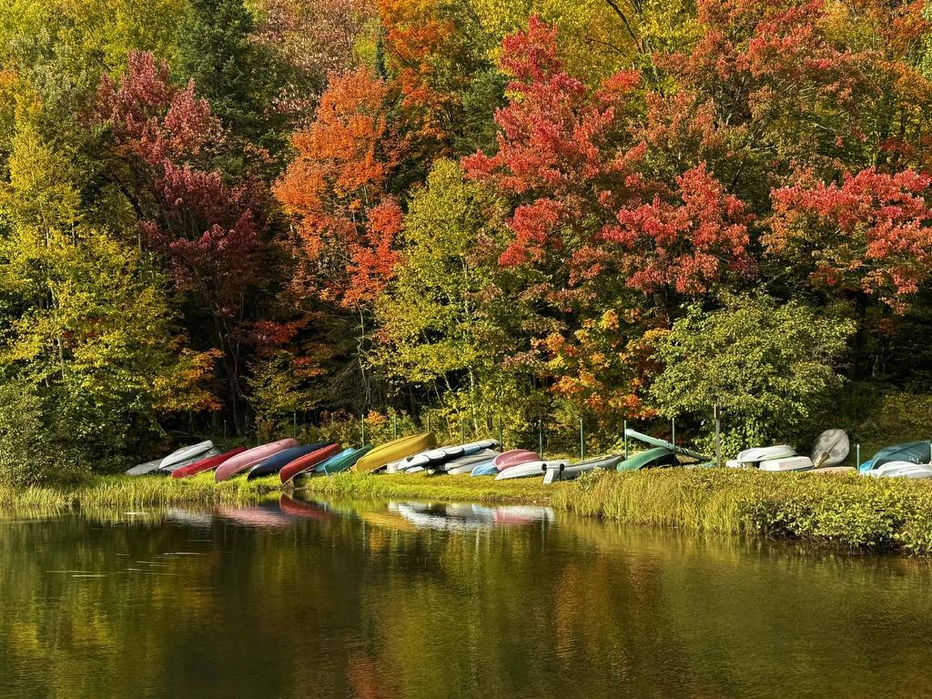 









322


Ch. Louise

,
Lac-Supérieur,




QC
J0T1J0


