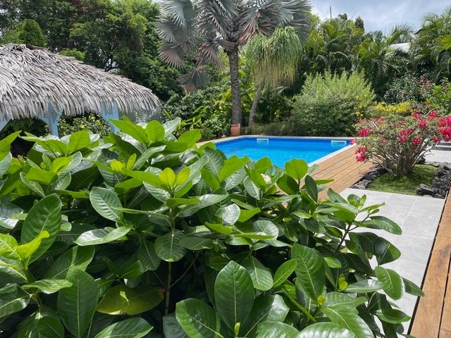 









1


Frontin, Commune St-François, Guadeloupe

,
Autres pays / Other countries,





97118


