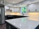 Quartz-stone countertop surfaces.