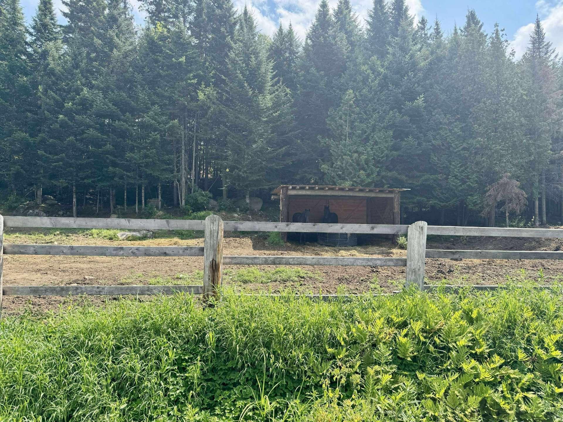 









9065

 - 9067


Ch. Ladouceur

,
Sainte-Agathe-des-Monts,







QC
J8C3R8

