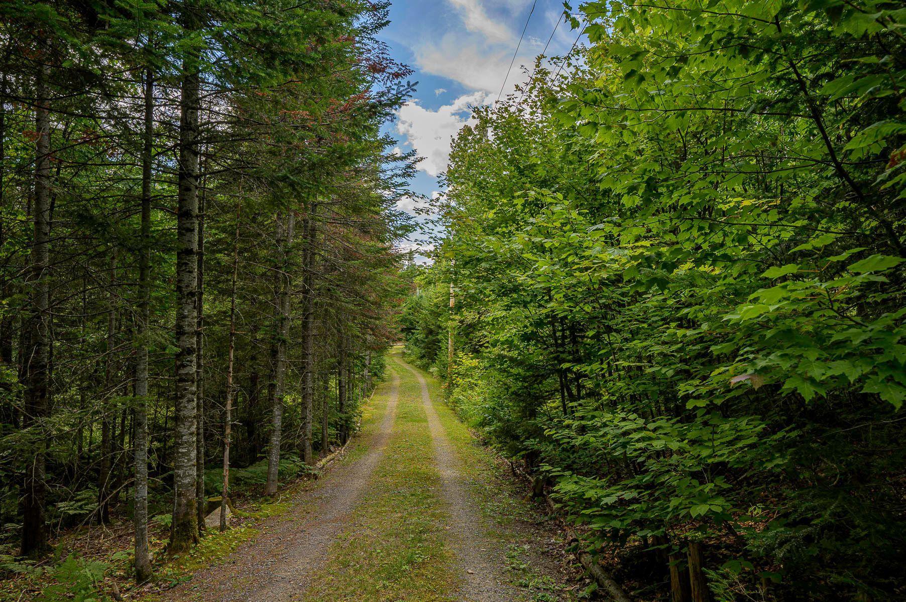 









686


Mtée Ste-Marie

,
Wentworth-Nord,




QC
J0T1Y0

