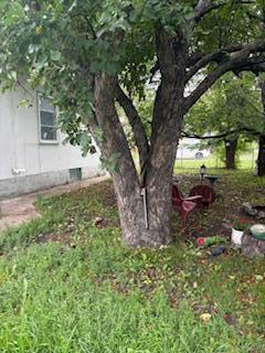 









1000


Redwood

AVE,
Winnipeg,




MB
R2X 0X8

