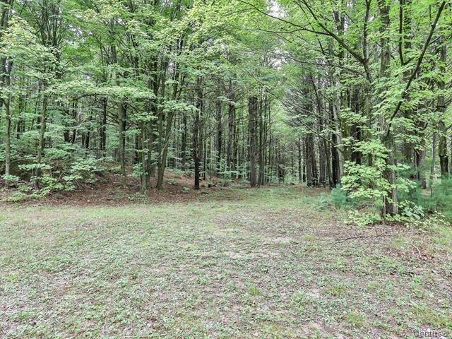 









2060Z


Côte St-Victor

,
Papineauville,




QC
J0V1R0


