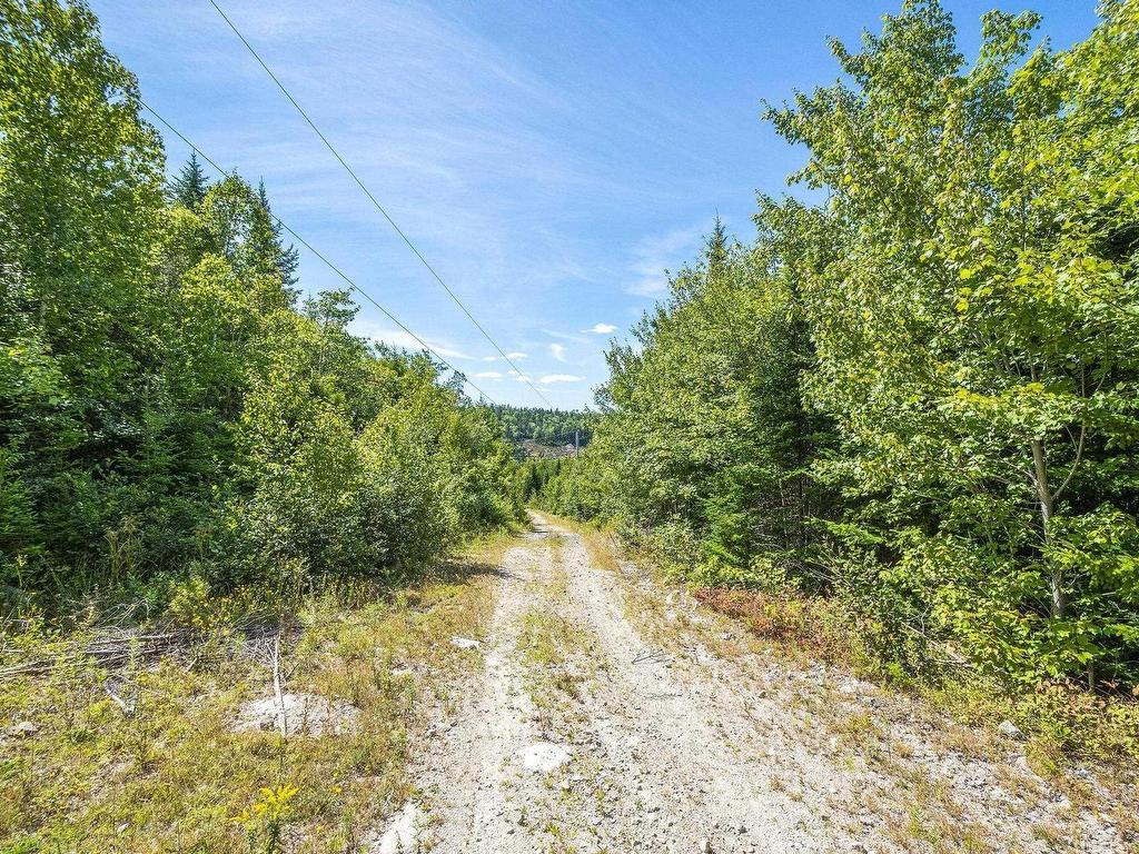 












7635 St Margarets Bay Road

,
Ingramport,




NS
B3Z 4A7

