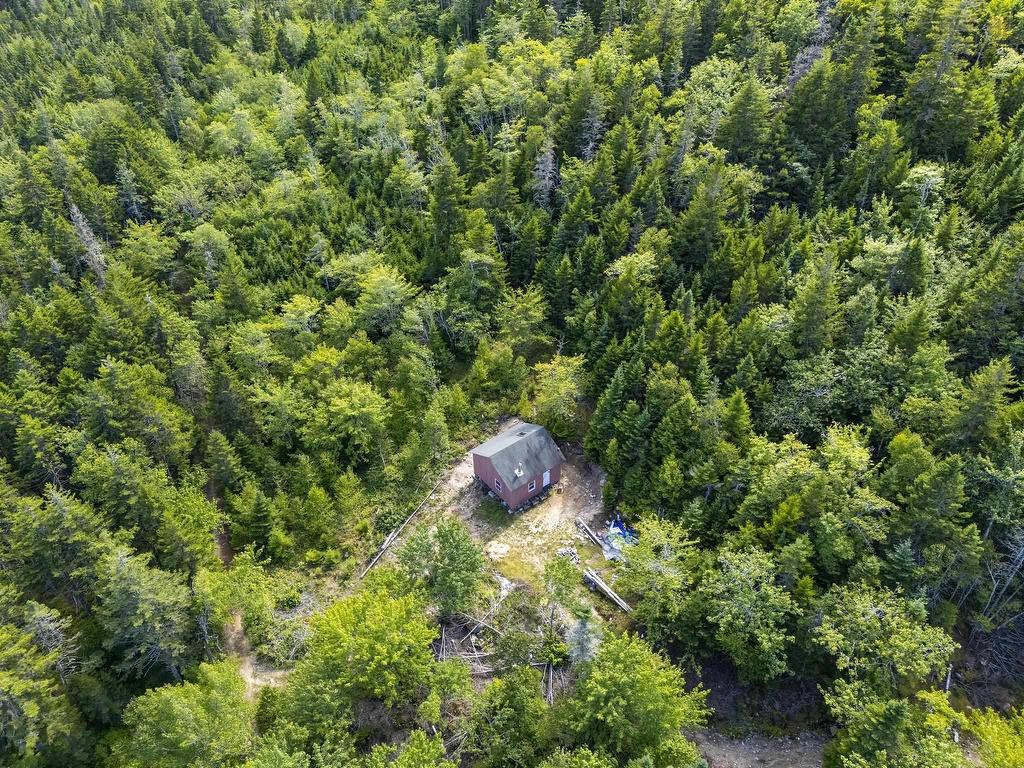 












7635 St Margarets Bay Road

,
Ingramport,




NS
B3Z 4A7

