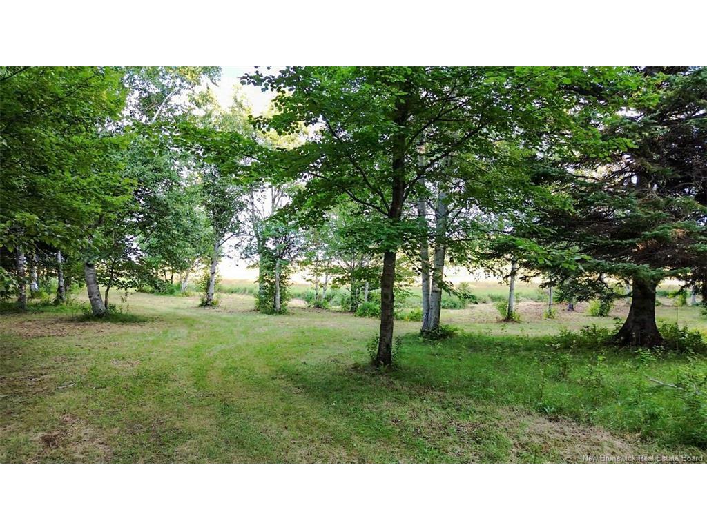 









1083


rue Bryar

,
Beresford,







NB
E8K 1B3

