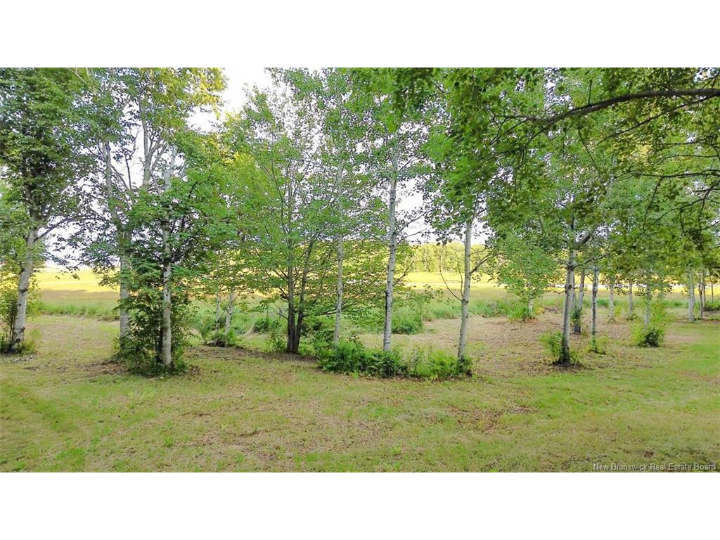 









1083


rue Bryar

,
Beresford,







NB
E8K 1B3


