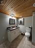 Lower level bathroom