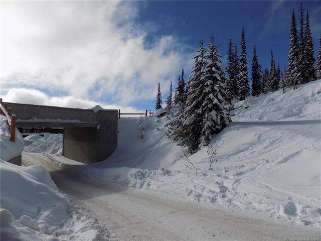 









5940


Snow Pines

Way, 23,
Big White,







BC
V1P 1P3

