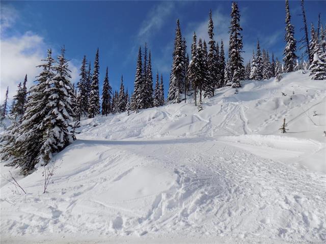 









5940


Snow Pines

Way, 23,
Big White,







BC
V1P 1P3

