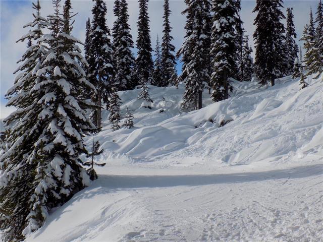 









5940


Snow Pines

Way, 23,
Big White,







BC
V1P 1P3

