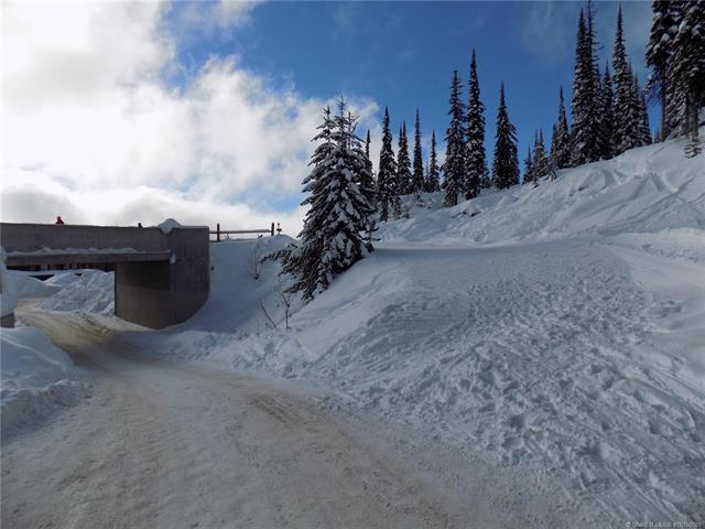 









5940


Snow Pines

Way, 23,
Big White,







BC
V1P 1P3

