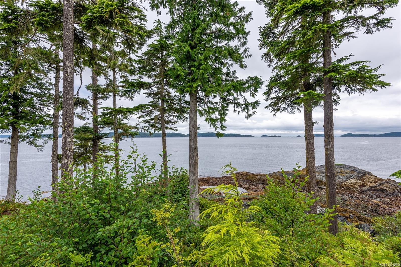









DL2264


Hidden

Cove,
Port McNeill,




BC
V0N 2R0

