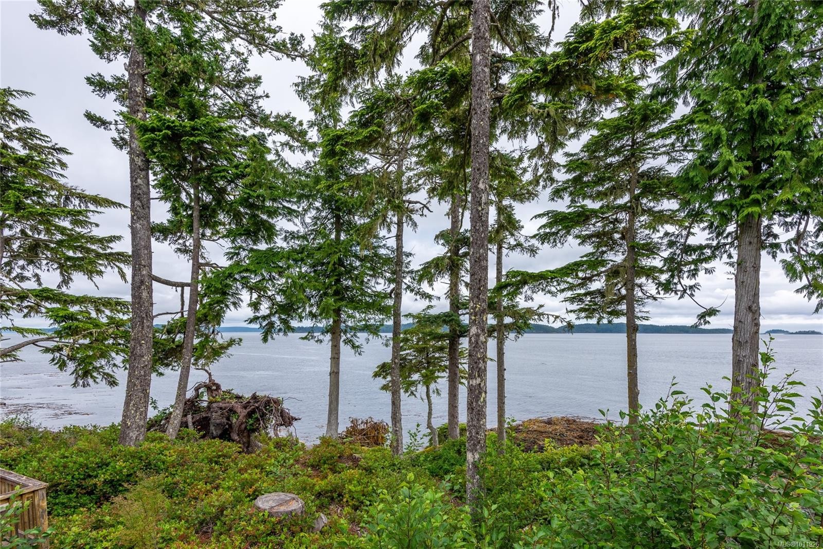 









DL2264


Hidden

Cove,
Port McNeill,




BC
V0N 2R0

