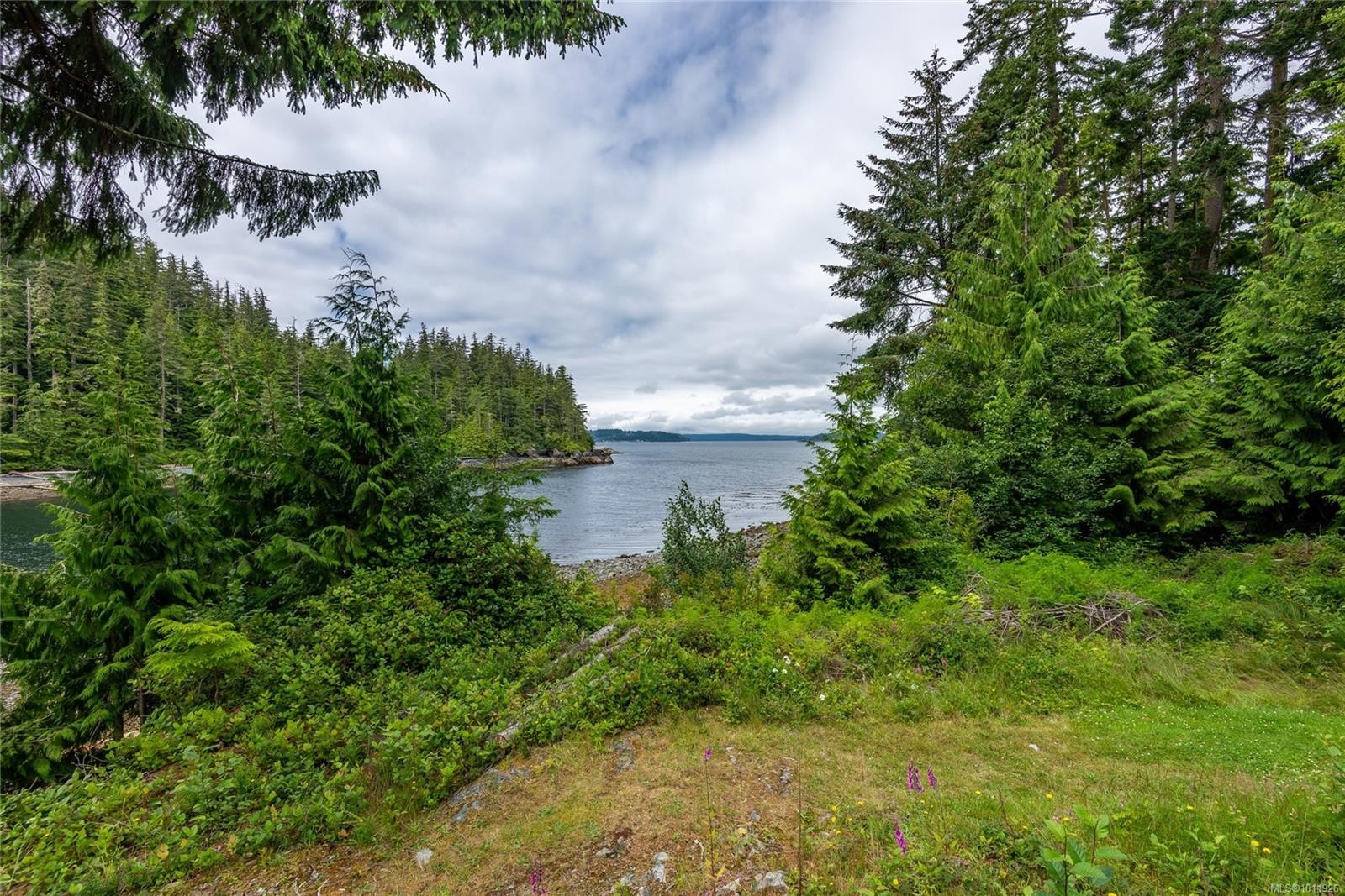 









DL2264


Hidden

Cove,
Port McNeill,




BC
V0N 2R0

